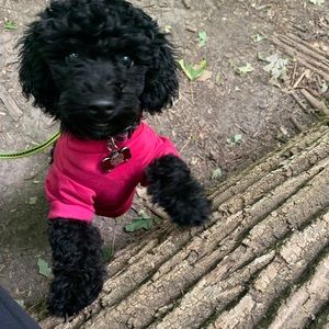 Meet your Posher, Annamaria